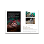 Annual Newsletter 2024