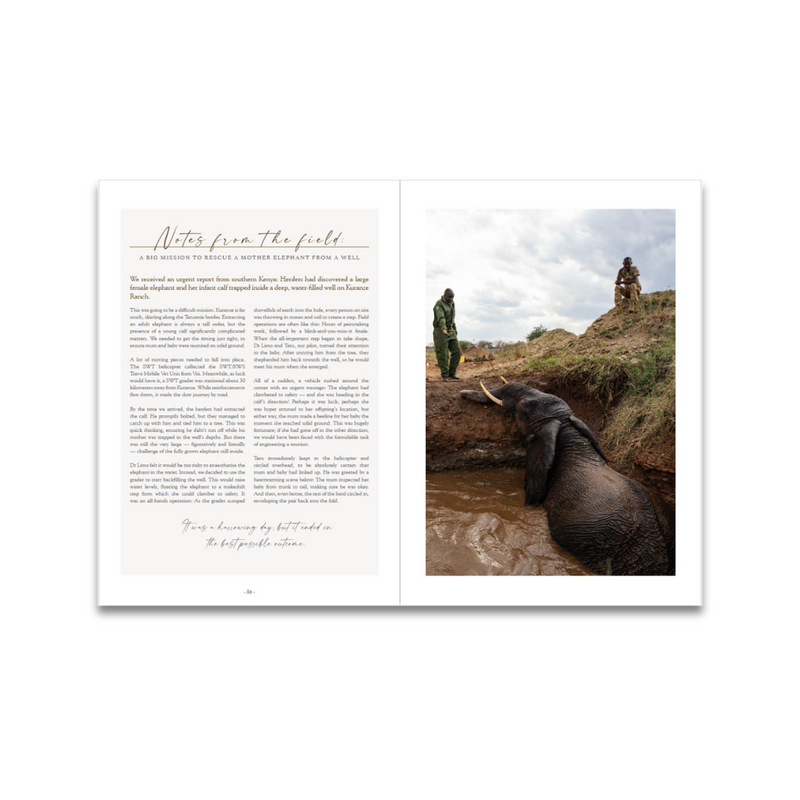 Annual Newsletter 2024