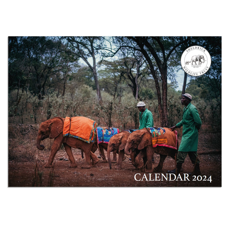 Orphans' Project Calendar 2024