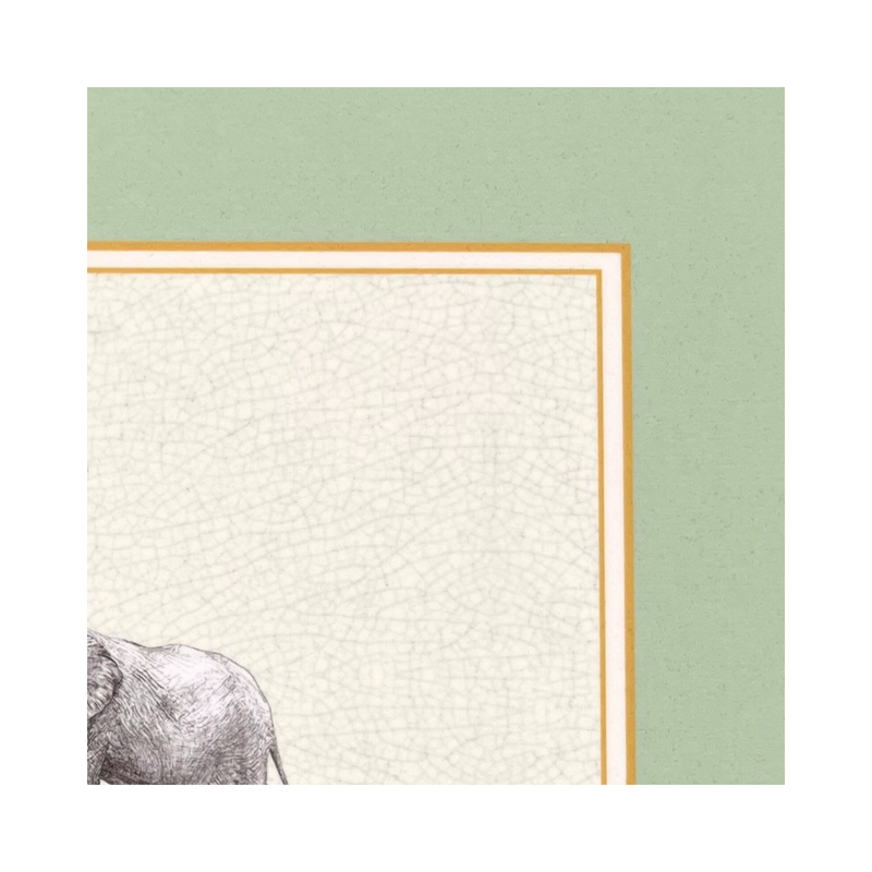 Elephant Placemats (Set of 4)