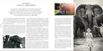 45th Brochure