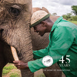 45th Brochure