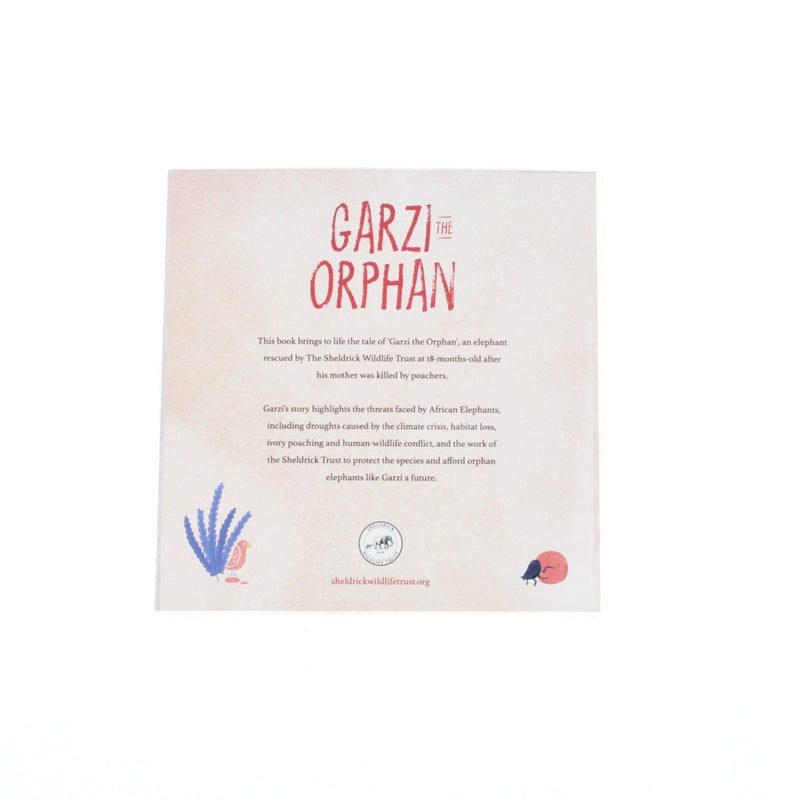 Garzi the Orphan children's book