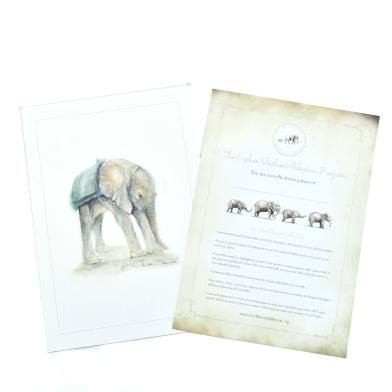 Elephant and Rhino Adoption Packs
