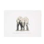 Elephant and Rhino Adoption Pack